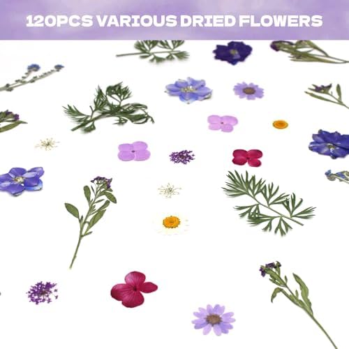Dried Flowers for Resin 120pcs Natural Flowers and Leaves