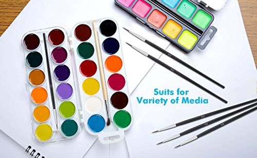 Miniature Detail Paint Brushes, Anezus 30 Pcs Paintbrushes Small Watercolor Artists Paint Brushes for Acrylics Oil Model Craft Nail Detail Painting, Size 00