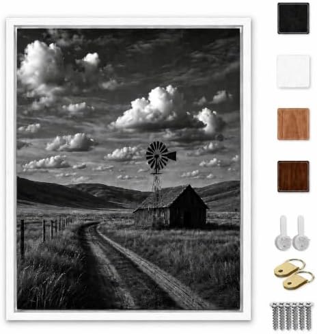 Canvas Floater Frame for 1”–1.25”Deep Gallery Wrapped Canvas, Wood-Look Floating Frame Wall Artwork for Oil Paintings, Gallery Bedroom, Living Room, Studio, Made in USA(White,20x20)