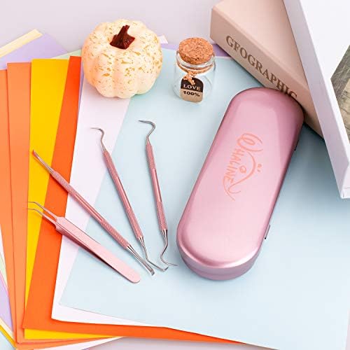 Whaline Vinyl Weeding Tools Set of 4, Precision Stainless Steel Weeder Kit with Case, Includes Scraper, Hook, Spatula, Tweezers for Silhouette Cameo, Lettering & Paper Craft (Pink)