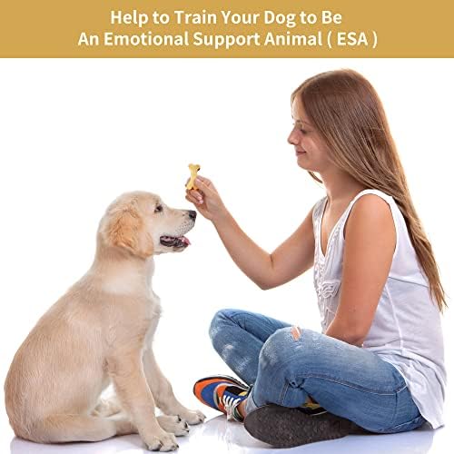 Dog Bone Silicone Molds, Pet Treat Mold for Baking and Freezing