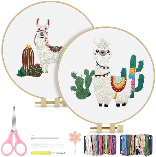 TINDTOP Embroidery Kit for Adult Beginners, Embroidery DIY Starter Kit