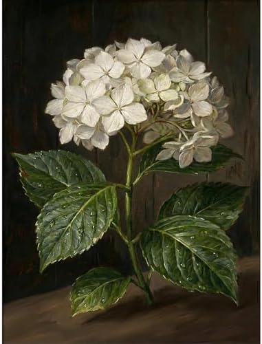 Hydrangea Diamond Art Kits for Adults Round Diamond Painting 12x16 Inch