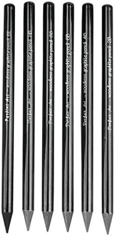 6 PCS Professional Woodless Charcoal Pencil Artist Sketching Drawing Pencil Graphite Sketch Pencils Charcoal Sticks Art Pencil Set for Drawing Shading Sketching 6 Grades of Graphite HB 2B 4B 6B 8B EE