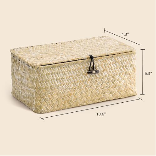 Nonam Small Wicker Basket with Lid,Seagrass Shelf Storage Basket,White
