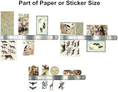 Esweny 200PCS Vintage Scrapbooking Supplies Pack, Aesthetic Scrapbook Sticker Paper Art Journaling Kit for Junk Journals,Planner,Cottagecore Decor Gifts (Green Series)