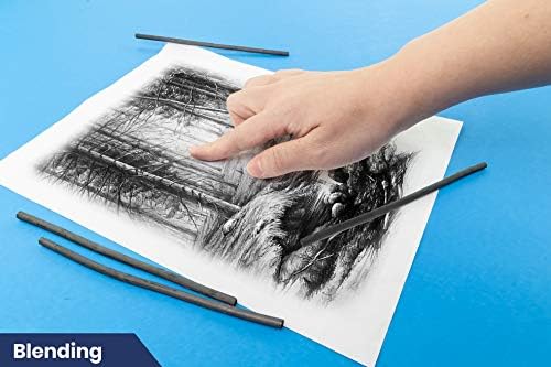 Pacific Arc Artist Vine Charcoal, Soft, Black 12 Pieces, Artist Vine Charcoal Sticks, Extra Soft and Smooth Drawing Charcoal