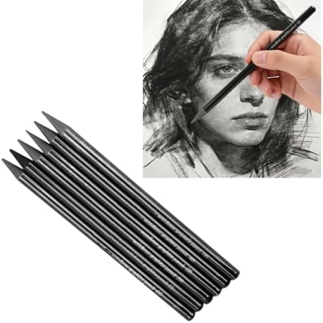 6Pcs Sketch Charcoal Pencils for Drawing Graphite Pencils Woodless Drawing Pencils for Sketching Shading Blending Artist Pencils for Beginners Artists Included HB 2B 4B 6B 8B EE