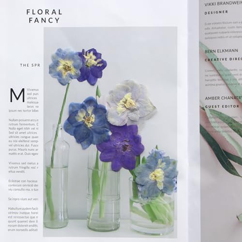 48 Pcs Dried Pressed Flowers for Resin DIY Art Crafts Natural Dry Sakura Larkspur Floral Epoxy Jewelry Real Flower Decor Cakes Phone Cases Candles Handmade Soap