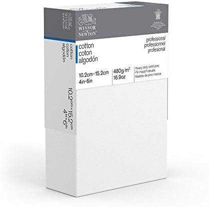 Winsor & Newton Professional Cotton Canvas, 4" x 6" Deep Edge