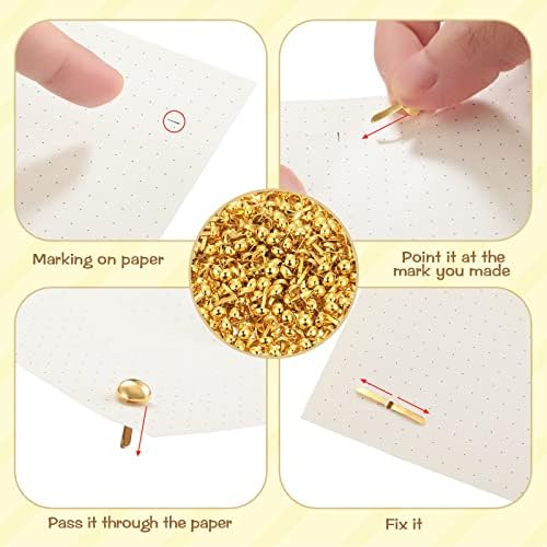 Hotop 500 Pcs Brad for Paper Crafts Metal Paper Fasteners,Golden
