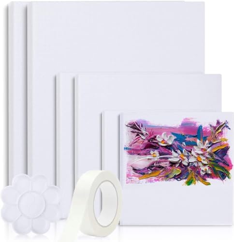 Canvases for Painting, 40x30, 30x20,20x15, 8 Set Canvas with Palette & Tape