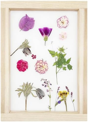 Cayway 4 Pack Natural Dried Pressed Flowers for Resin, Scrapbook DIY Art Crafts, Epoxy Jewelry, Card Making Supplies - Colorful Real Flowers, Style J