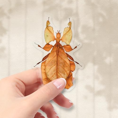 50Pcs Realistic Insect Vinyl Stickers Set