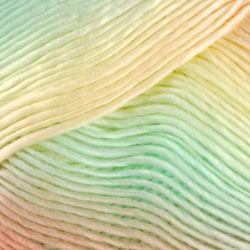 Loops & Threads Facets Yarn - Yarn for Knitting, Crochet, Weaving, and Arts & Crafts - Multi, Acrylic, 3.5 oz