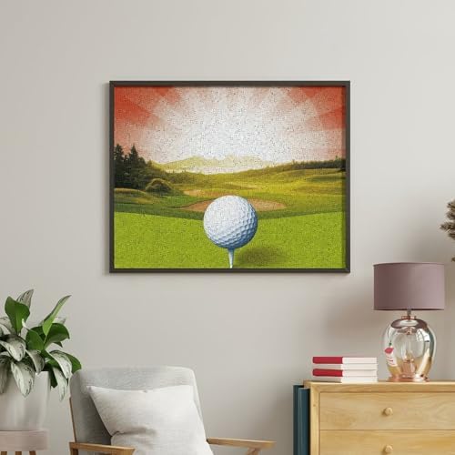 QMNBTES Paint by Numbers Kit for Adults Beginner Golf Sport Paint by Number Kits on Canvas Number Painting Drawing Paintwork DIY Oil Painting Kits for Gift Home Wall Decor