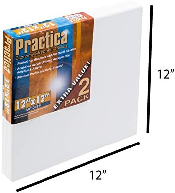 Practica Economy Stretched Cotton Canvas - Acid-Free Acrylic Primed Canvas for Acrylics, Pastels, Graphite, & More! - [2-Pack - 12x12]