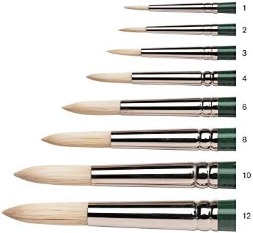 Winsor & Newton Winton Hog Round Bristle Brush, #6