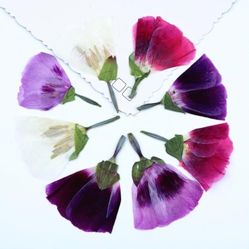 48 Pcs Dried Pressed Flowers for Crafts Art Resin DIY Natural Dry Floral Epoxy Jewelry Real Flower with Leaves Plants Decor Cakes Phone Cases Bookmarks Candles Handmade Soap Farewell