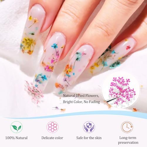 4 Boxes 3D Dried Flowers for Nails, Mini Dried Flowers Nail Stickers Decals