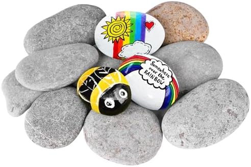 River Rocks for Painting 12 Pcs Large 2-3 Inch Flat Smooth Painting Stones Craft Rock to Paint for Kids Crafts Painting Bulk