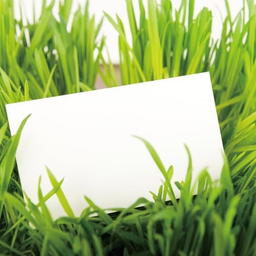 100 Sheets White Cardstock 3x5 Inches Thick Paper 130lb/350gsm