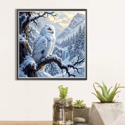 WCHUIMM 5D Owl Diamond Art Painting Kits for Adults, Crystal Rhinestones Diamond Painting, Gem Art Diamond Dots Crafts for Beginners DIY, Home Wall Christmas Decor Gift, 12x12inch