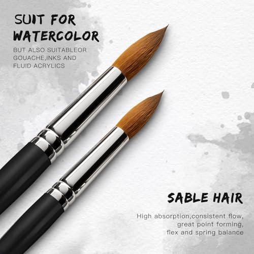Watercolor Brushes Professional Set, 10 Artist Brushes Watercolor Paint Brushes, Golden Maple Sable Brush Paint Brushes-Round Tip, Flats, Dagger, Oval Wash for Detail Painting, Water Color, Gouache