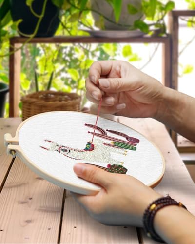 TINDTOP Embroidery Kit for Adult Beginners, Embroidery DIY Starter Kit