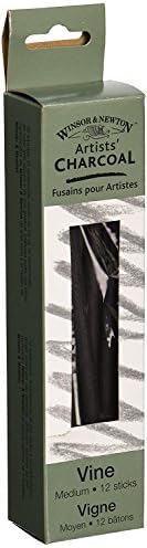 Winsor & Newton Artist Vine Charcoal Sticks, Medium, Box of 12 Sticks