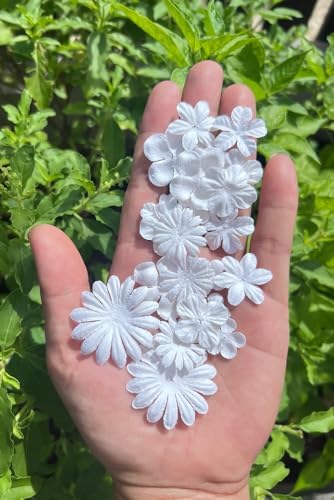 100 Pcs Handmade Mulberry Paper Flowers 3 mm - 1.5 Inch Scrapbooking Wedding DIY Craft Supplies Card. (Mixed White Flowers)