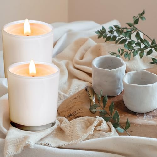 Thick Candle Jars for Making Candles 12 Pcs, 14 OZ Empty Jars with Wood Lids for Candle Making, Sample Container, Inner White