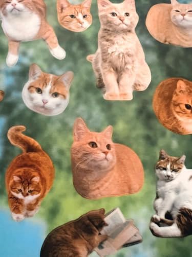 Cat Sticker Book Kawaii Cute Stickers Bulk Aesthetic Funny Meme 800+