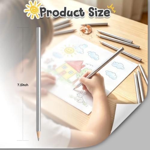 24 PCS Silver Colored Pencils, Pre-sharpened Professional Wooden Art Pencils Set for Artists Painting | Premium Drawing Sketching Supplies