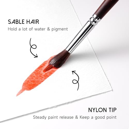 Watercolor Paint Brushes, 5pcs Fuumuui Professional Sable Brush, Wool & Synthetic Squirrel Brushes Set with Extended Needle, Round Point, Flat, Quill Wash Perfect for Watercolor Acrylic Gouache Inks