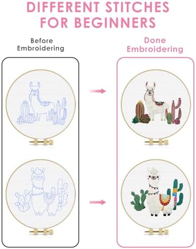 TINDTOP Embroidery Kit for Adult Beginners, Embroidery DIY Starter Kit