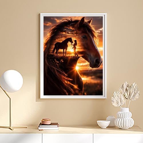 ijbnhd Horse Diamond Painting Kits for Adults Cowgirl 12x16inch