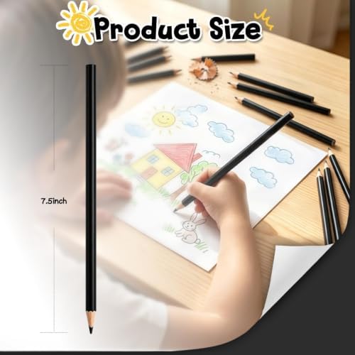 24 PCS Black Colored Pencils, Pre-sharpened Professional Wooden Art Pencils Set for Artists Painting | Premium Drawing Sketching Supplies