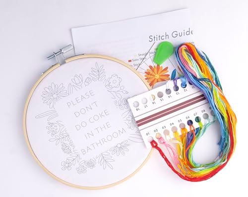 FUNATIC Please Don't Do Coke in The Bathroom Fun Embroidery Kit for Adults
