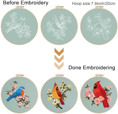 Louise Maelys 3 Set Colorful Bird Embroidery Kit for Beginners Gift