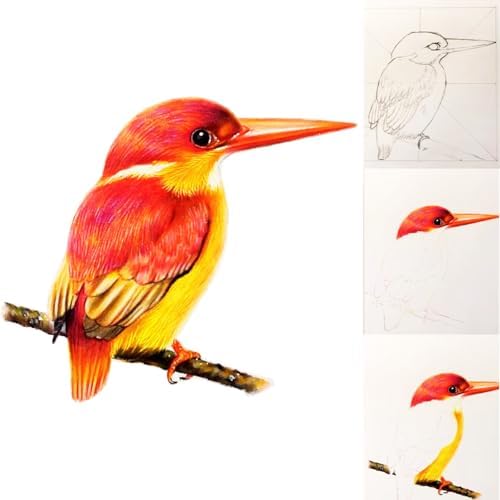 80pcs Drawing Kit Sketching Set Art Sketch Supplies Coloring pencils Kit 48 Colored pencil,14 Graphit, 6 Charcoal, 50 Page 3-Color sketckbook coloring book Portable Case ect. Beginners Artists Adults