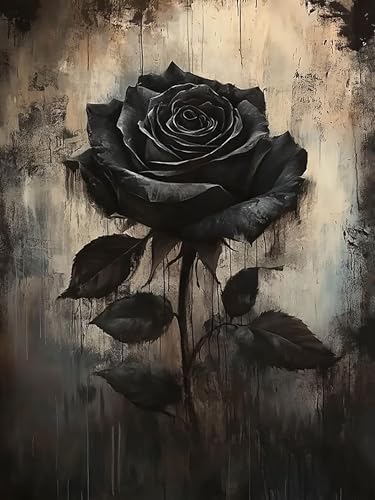 Diamond Art Kits for Adults,Black Rose Diamond Painting Kits for Beginner