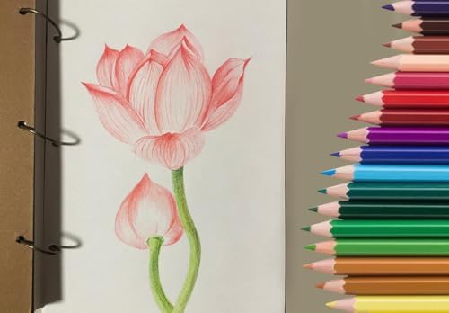 SKKSTATIONERY 50Pcs Colored Pencils, 50 Vibrant Colors