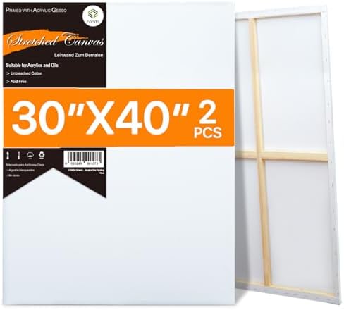 CONDA Large Stretched Canvas for Painting, 30x40 Inch 2 Pack Big Canvas, 100% Cotton, Primed Acid-Free, White Blank Stretched Canvas Boards Art Supplies for Acrylics, Oils Painting