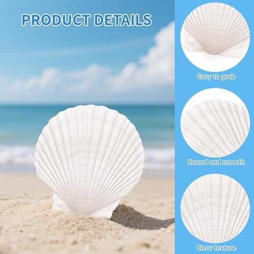 25PCS Large Natural Scallop Shells for Crafts, 4-5 in White Sea Shells, DIY
