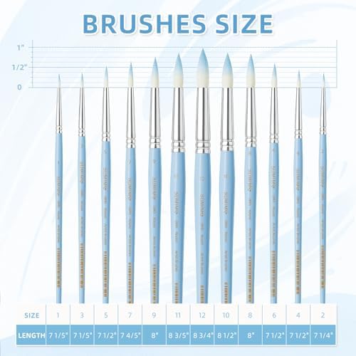 12 Pcs Round Professional Artist Watercolor Paint Brush Set, Blue