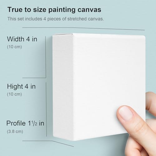 AUREUO 4x4 Inch Gallery Wrapped Canvas 1.5 Inch Depth 4 Pack