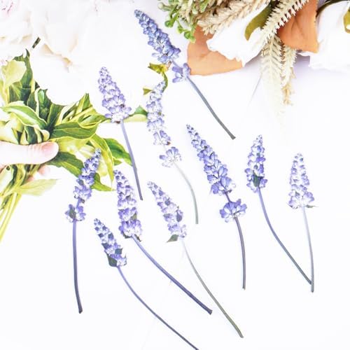 50Pcs Lavender Dried Pressed Flowers for Crafts,Xinxinran Dry Flowers Kit for Wedding Invitation,Resin Molds Bookmark,Jewelry Molds,Candle Making Supplies,Soap,Frame,Cakes