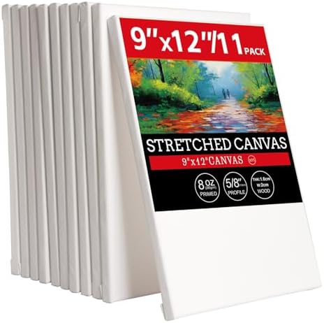 11 Pack 9x12 Stretched Canvases