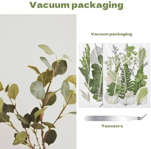 63 Pcs Pressed Leaves, 21 Styles Dried Flowers for Resin